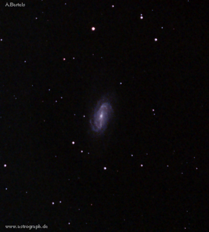 080406_ngc2903.jpg