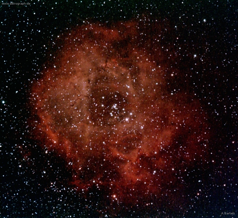 090126_rosetta-nebula.jpg